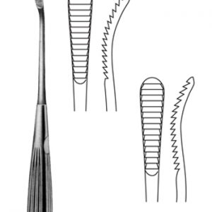 TS-SIBR1